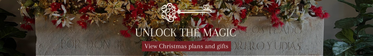 gift voucher Palacio de Luces