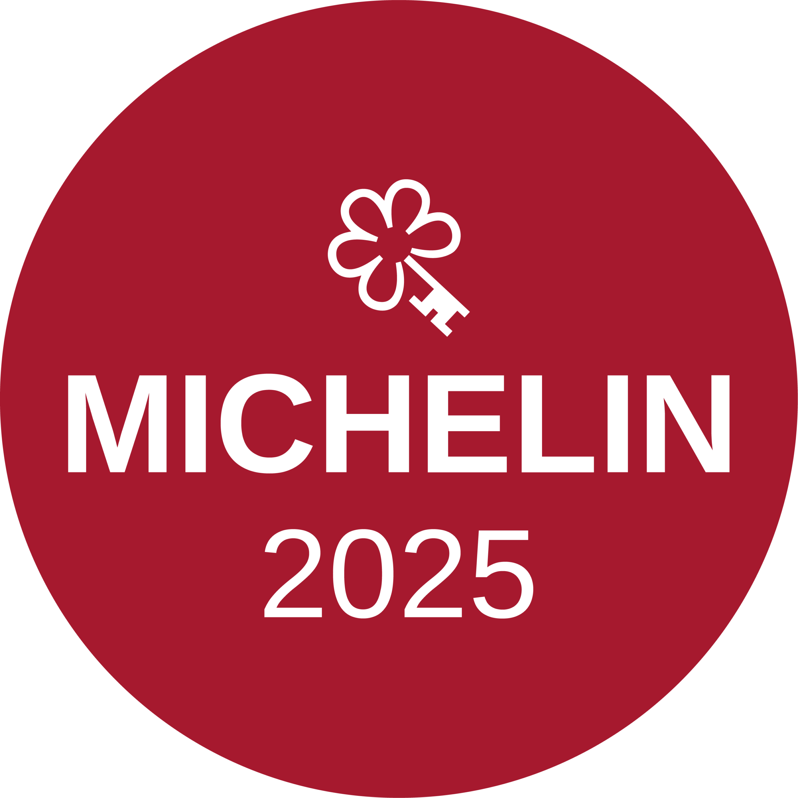 Llave Michelin 2025 Hotel Palacio Villapanes Sevilla