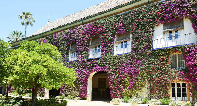 casa de dueñas
